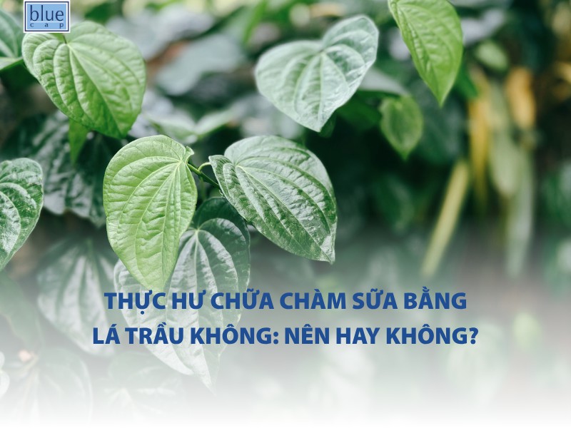 Thực hư chữa chàm sữa bằng lá trầu không: nên hay không?