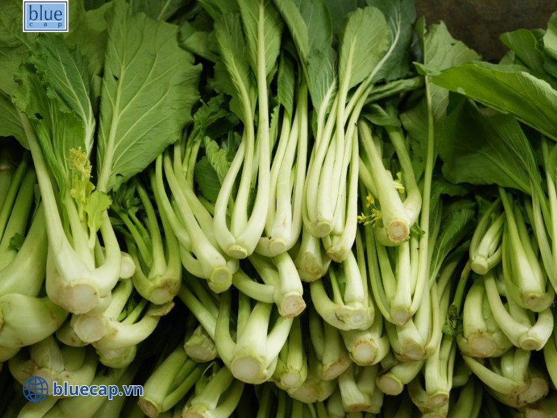 Mẹ ăn nhiều rau xanh giúp sữa mát hơn