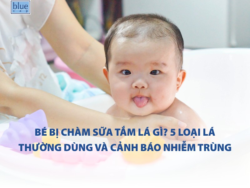 Bé bị chàm sữa tắm lá gì? 5 loại lá thường dùng và cảnh báo nhiễm trùng