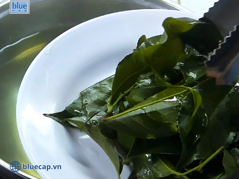 Chú ý cho thêm muối để tăng sát khuẩn tự nhiên cho nước
