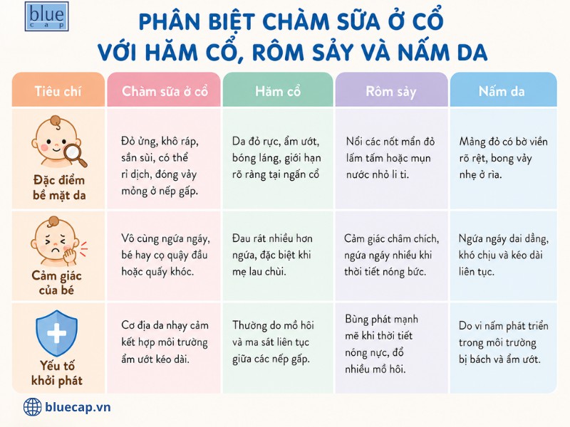 Phân biệt chàm sữa ở cổ với hăm cổ, rôm sẩy và nấm da