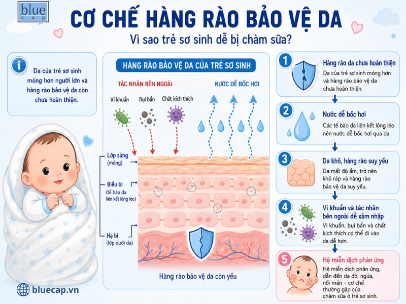 Cơ chế hàng rào bảo vệ da ở trẻ